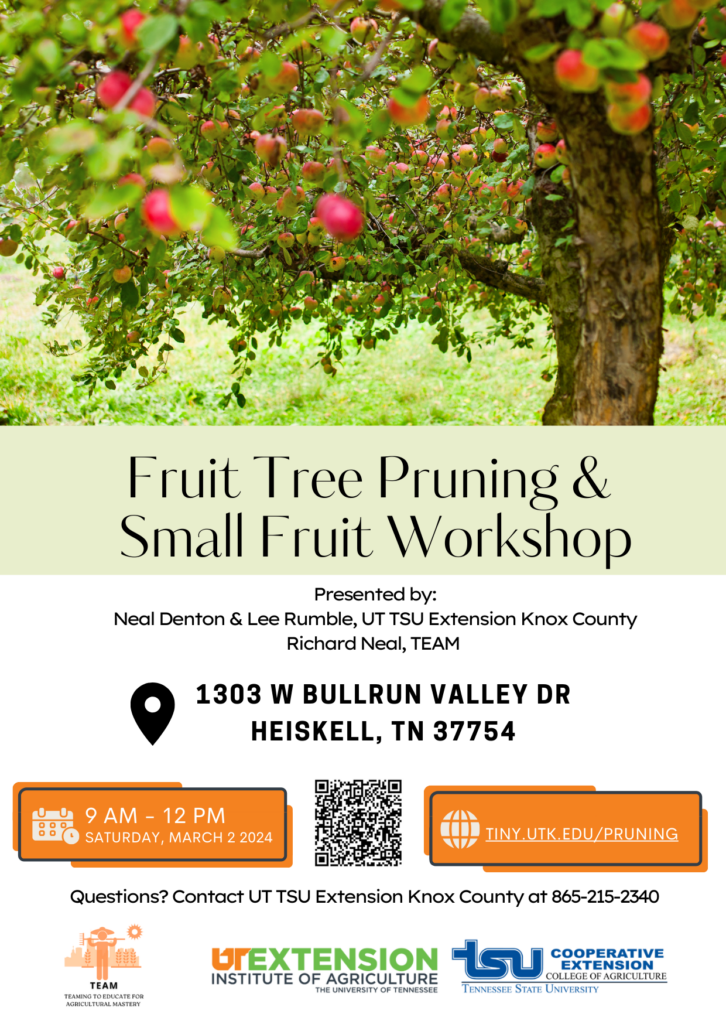 Flyer of Fruit Tree Pruning Workshop